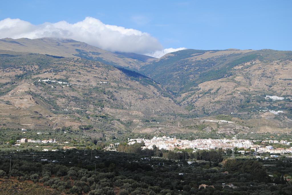 Mirasol Orgiva